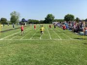 d3aa0374-4d7b-493c-946d-52e928e20dca